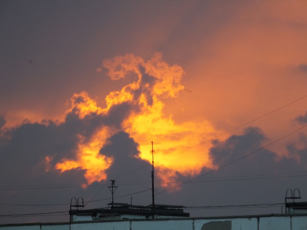 Photograph by Oksana