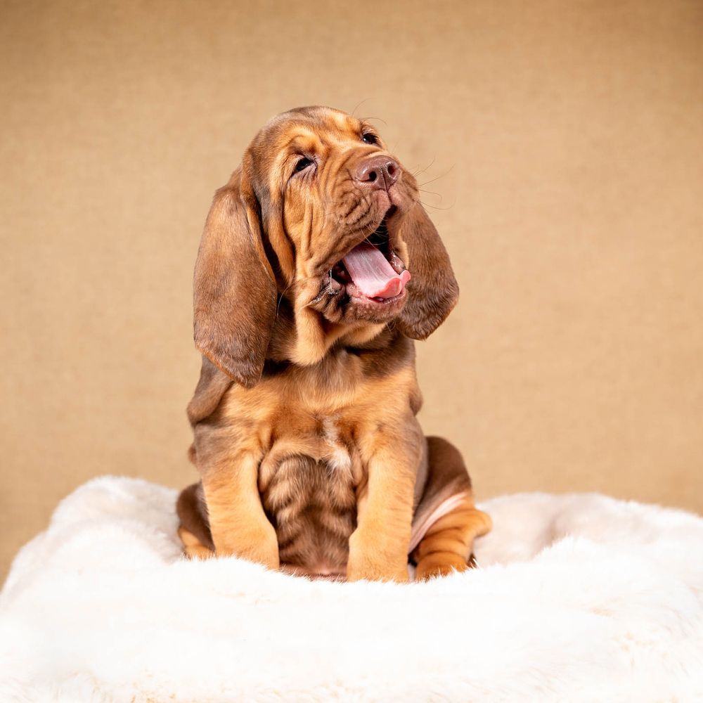 Photograph by Evgeniya Glinskaya