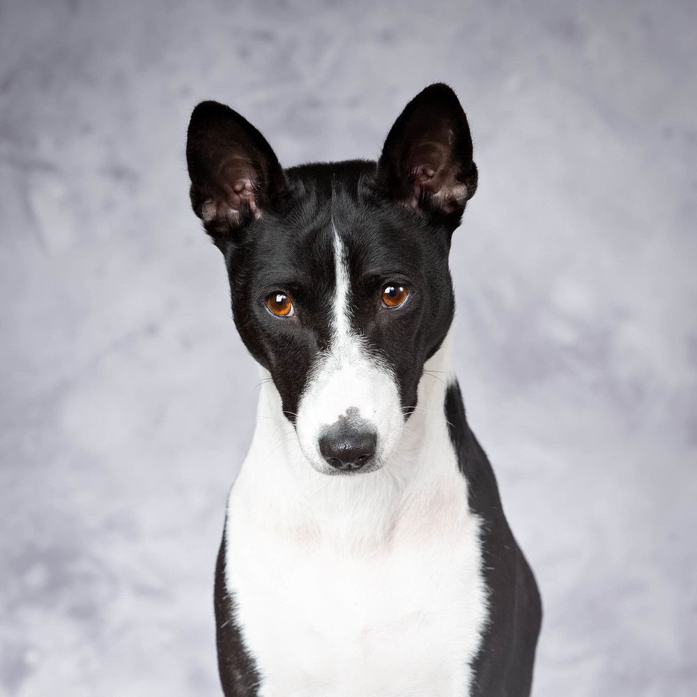 Photograph by Evgeniya Glinskaya