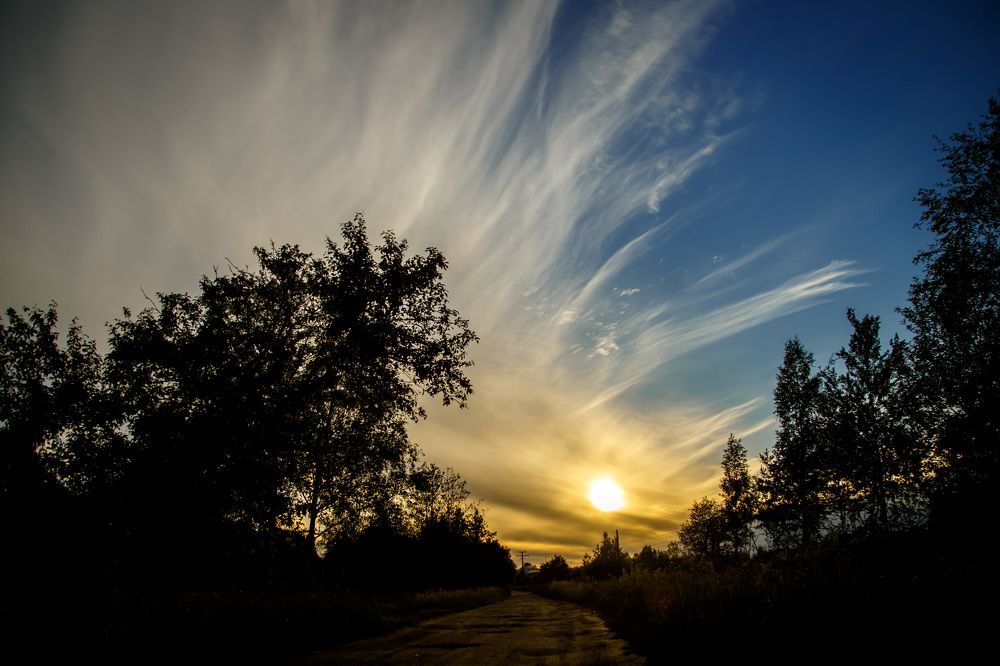 Photograph by Ольга Кобринская