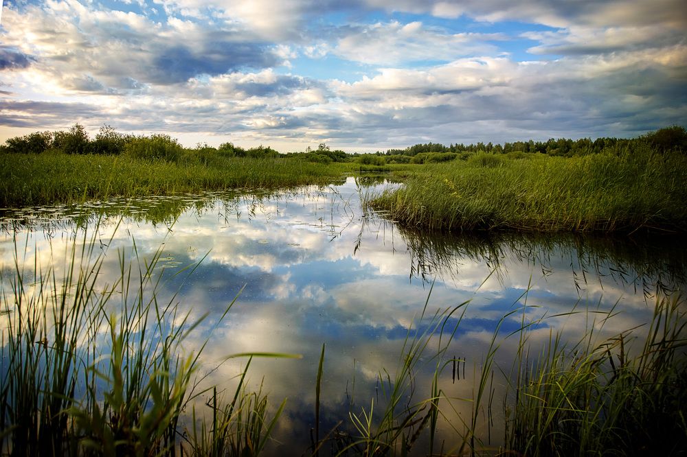 Photograph by Ольга Кобринская