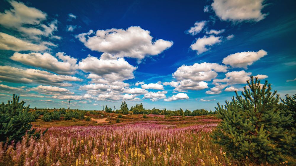 Колтушские высоты