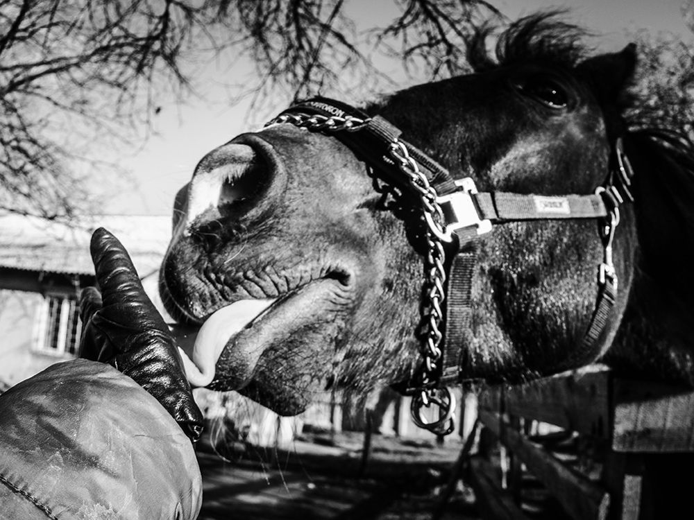 Photograph by Анна Шац