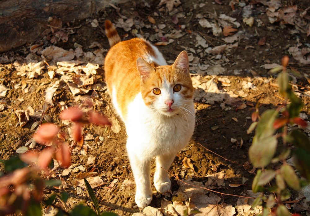 Photograph by Atefeh Karimzadeh