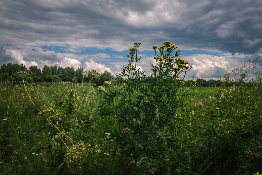 Photograph by Артур Газиев