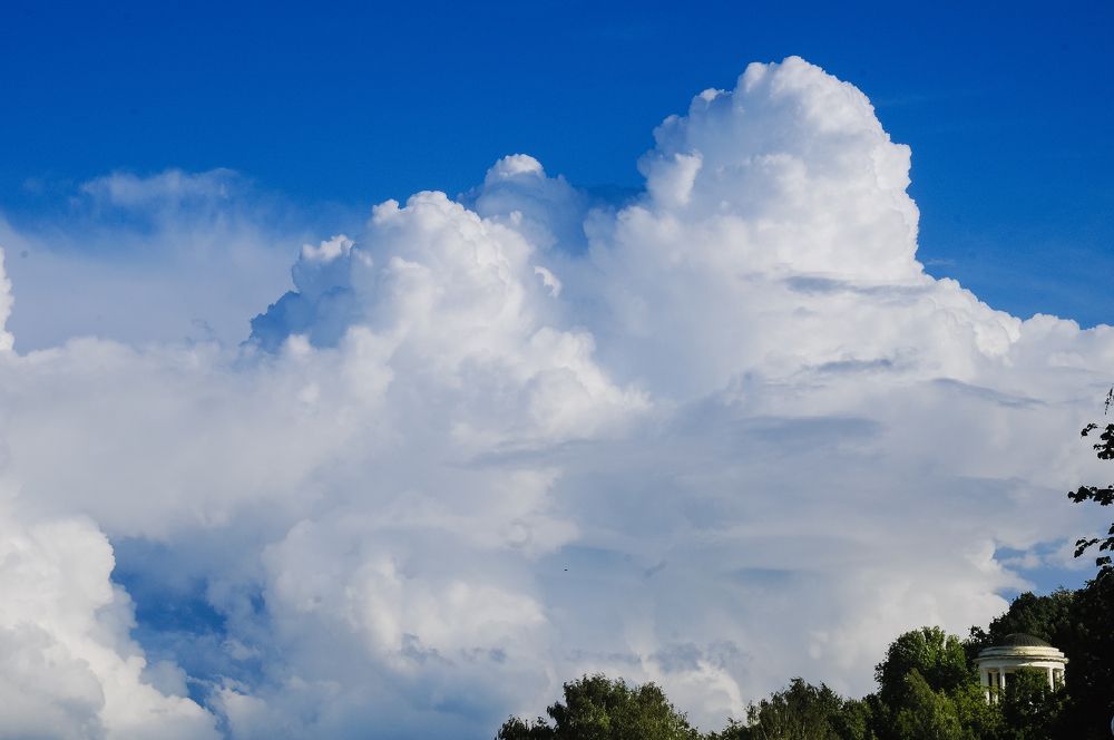 Фотография автора Екатерина Полякова