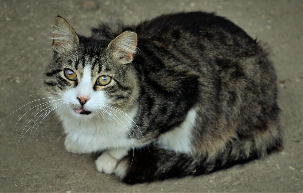 Photograph by Людмила Бутова