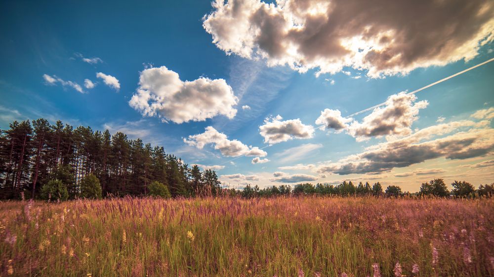 Photograph by Анастасия Третьякова