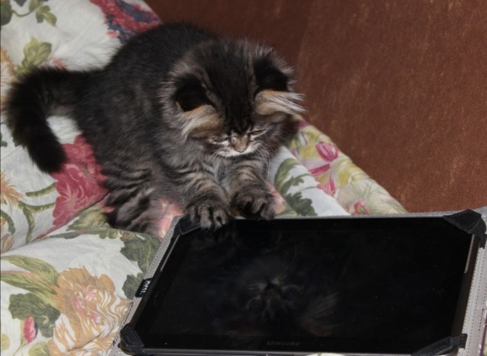 Photograph by Оксана Федулова