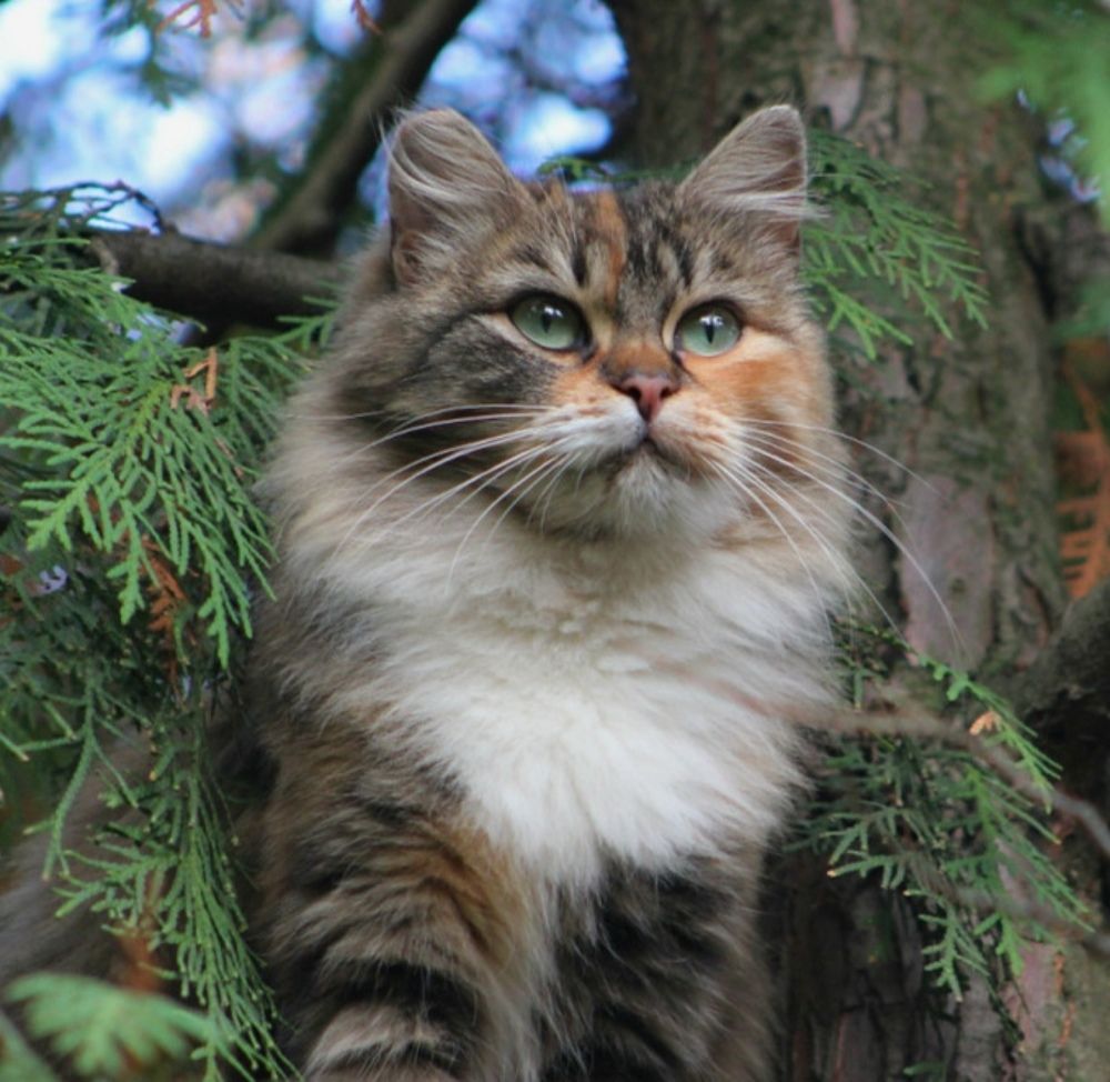 Photograph by Оксана Федулова