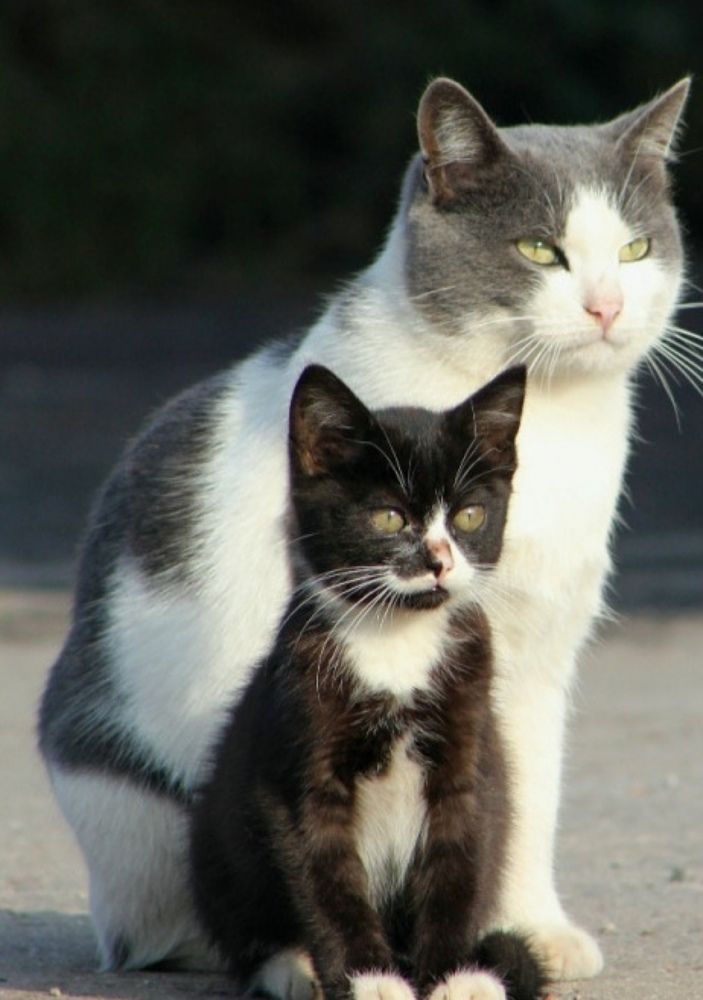 Photograph by Оксана Федулова