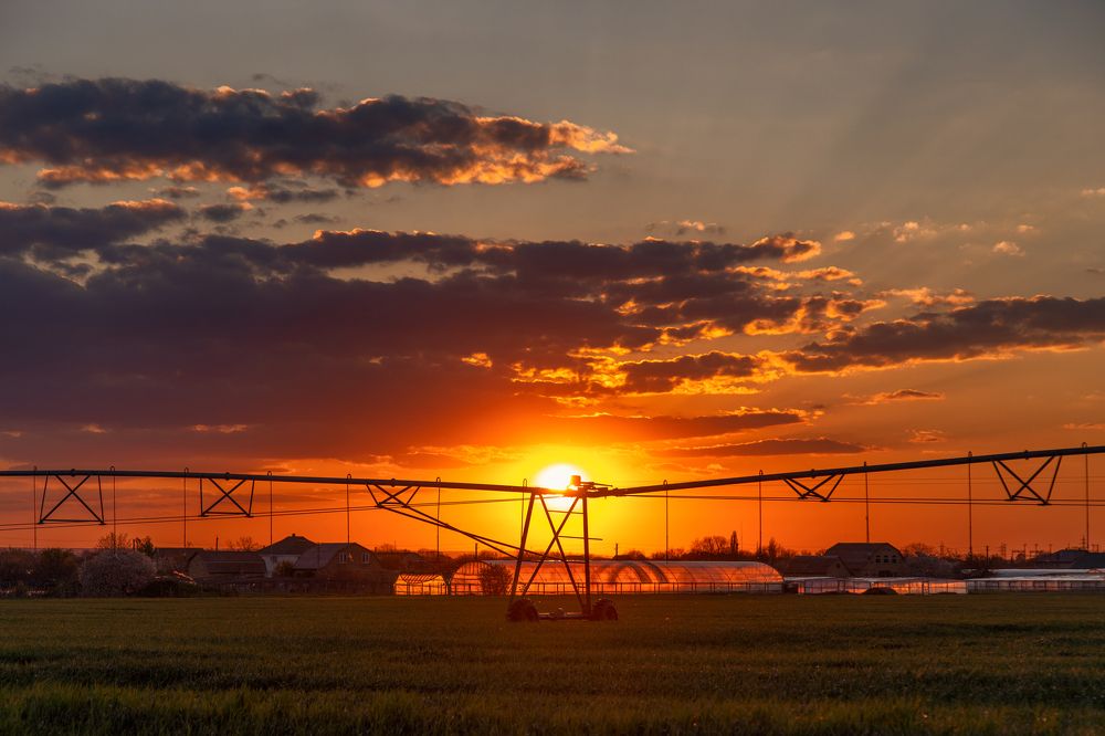 Photograph by Ольга