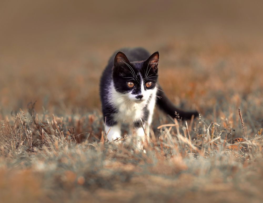 Photograph by Елена Осколкова