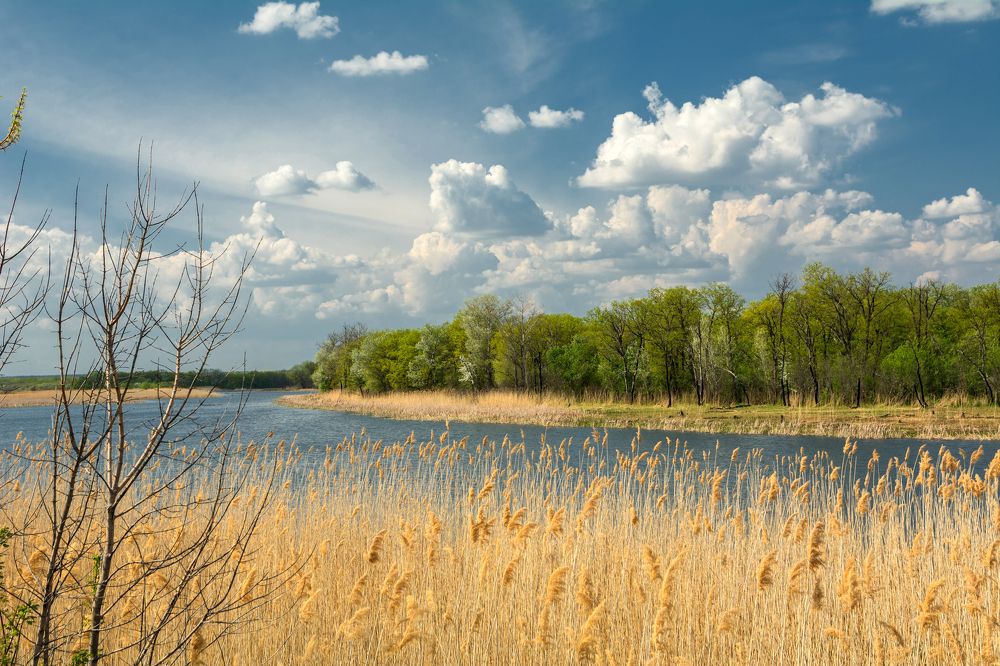 Photograph by Елена Ковалева