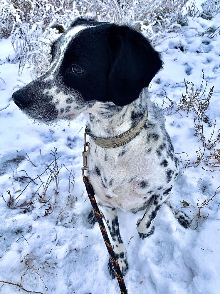 Photograph by Маргарита Кононова