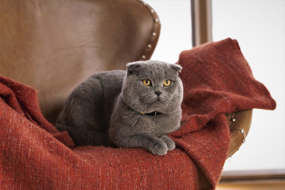 Photograph by Кристина Дугина