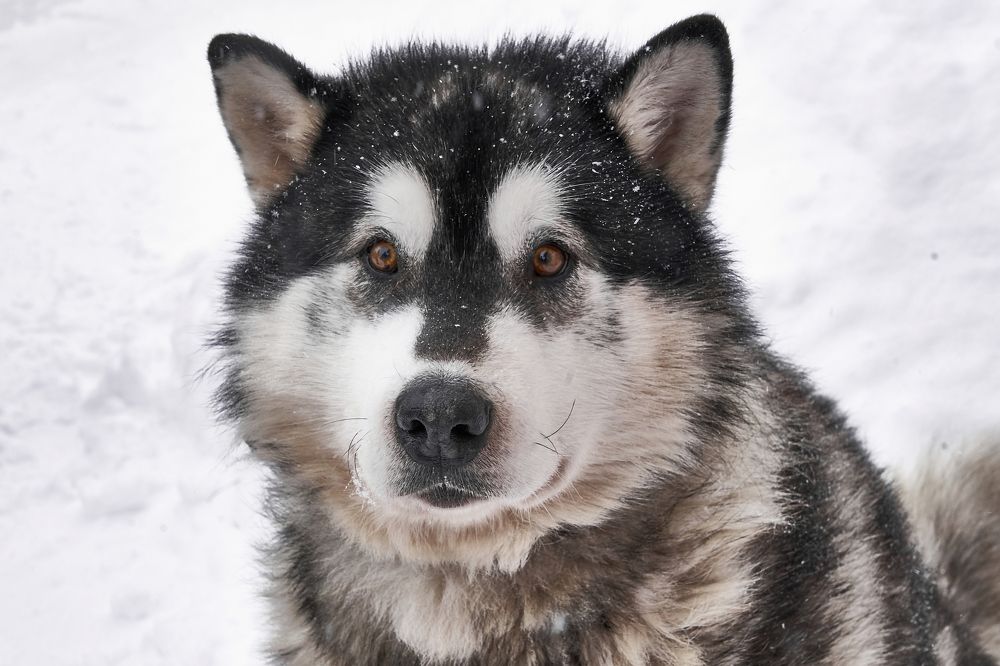 Photograph by Yuliya Khramova