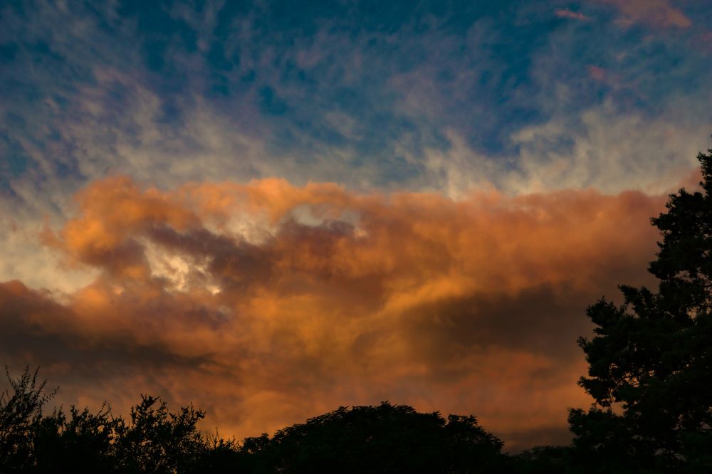 Photograph by Olinda Garcia Favre