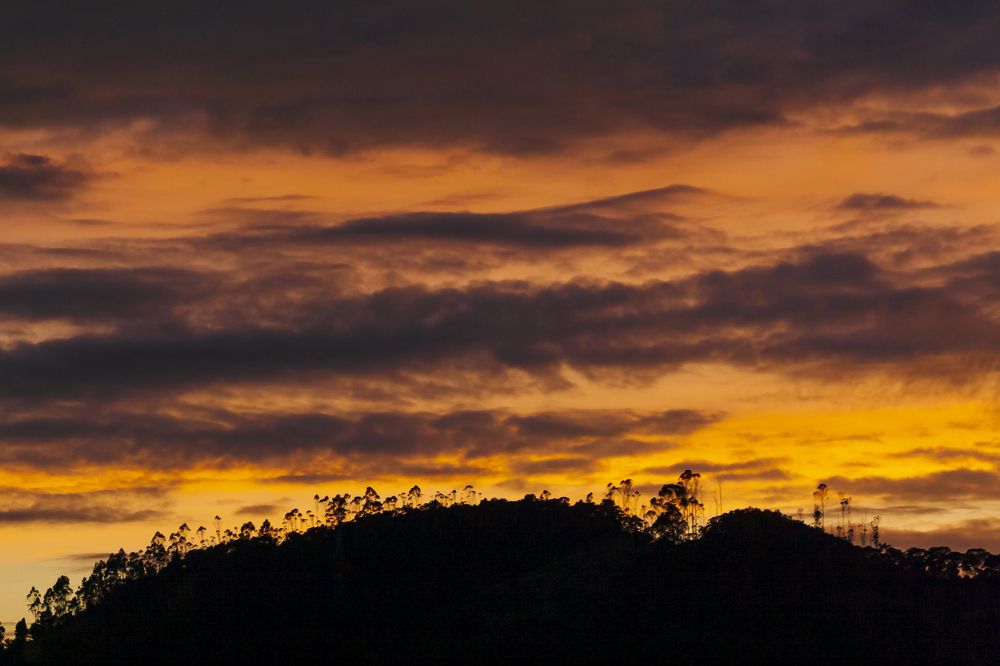 Photograph by Jorge Ivan Vasquez