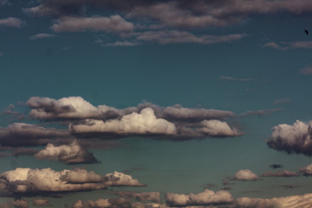 Фотография автора Дмитрий Нефёдов