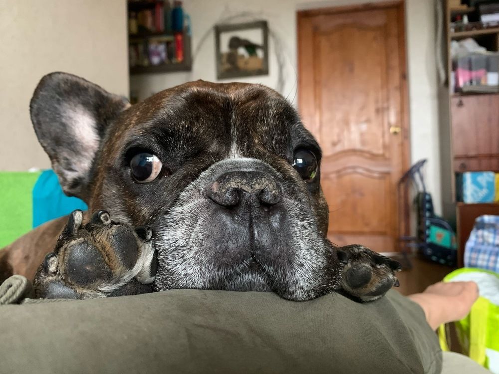 Фотография автора Дмитрий Нефёдов