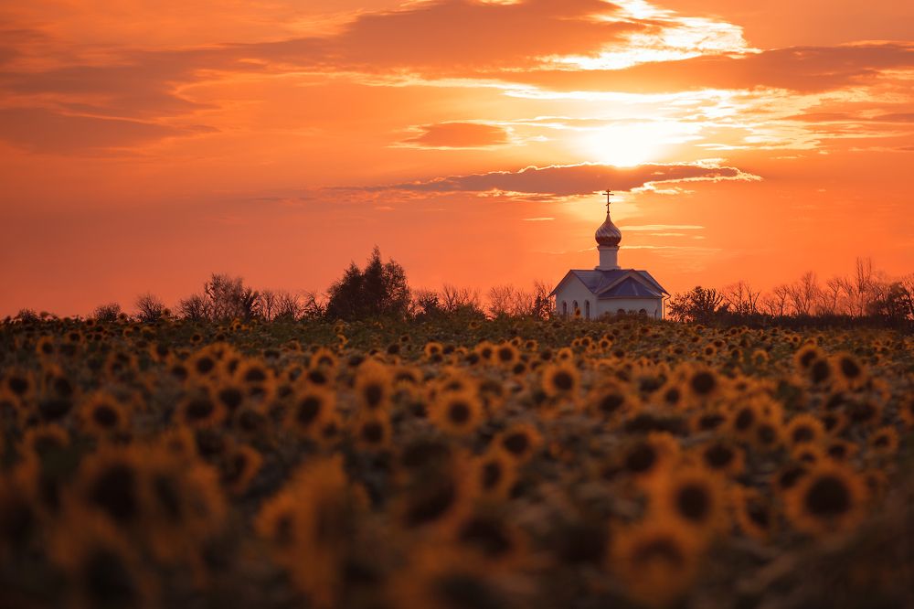 Photograph by Алла Ктеянц