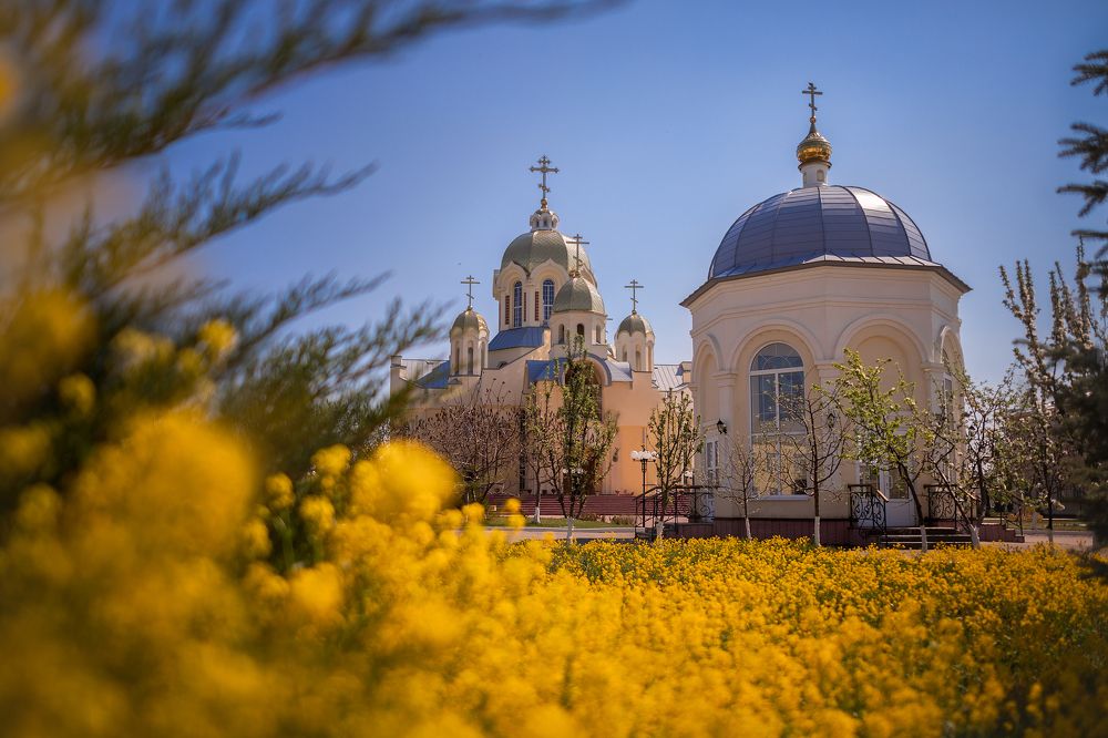 Photograph by Алла Ктеянц