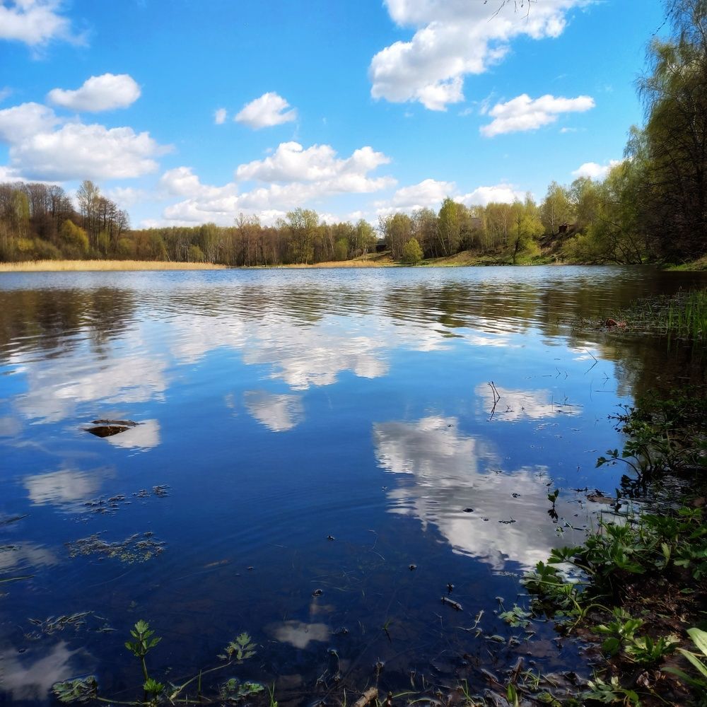 Photograph by Ольга Дорошенко