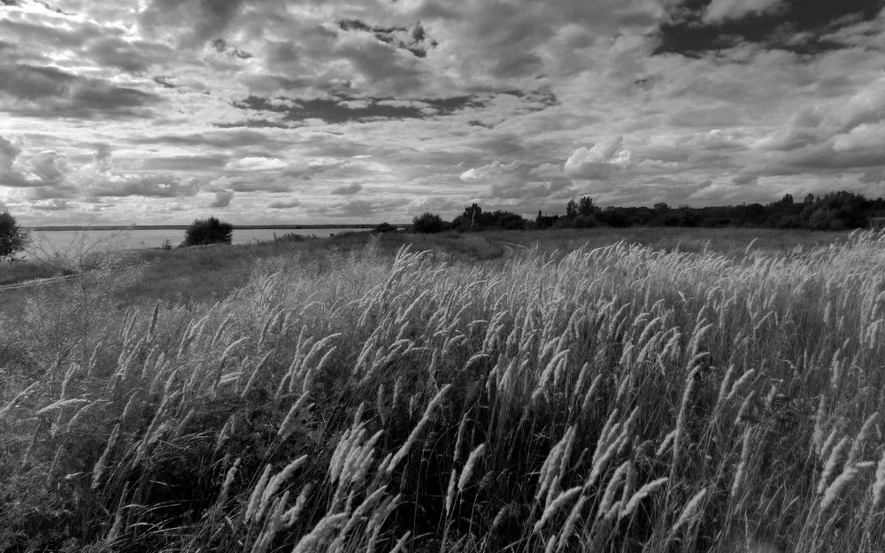 Photograph by Сергей Рудаков