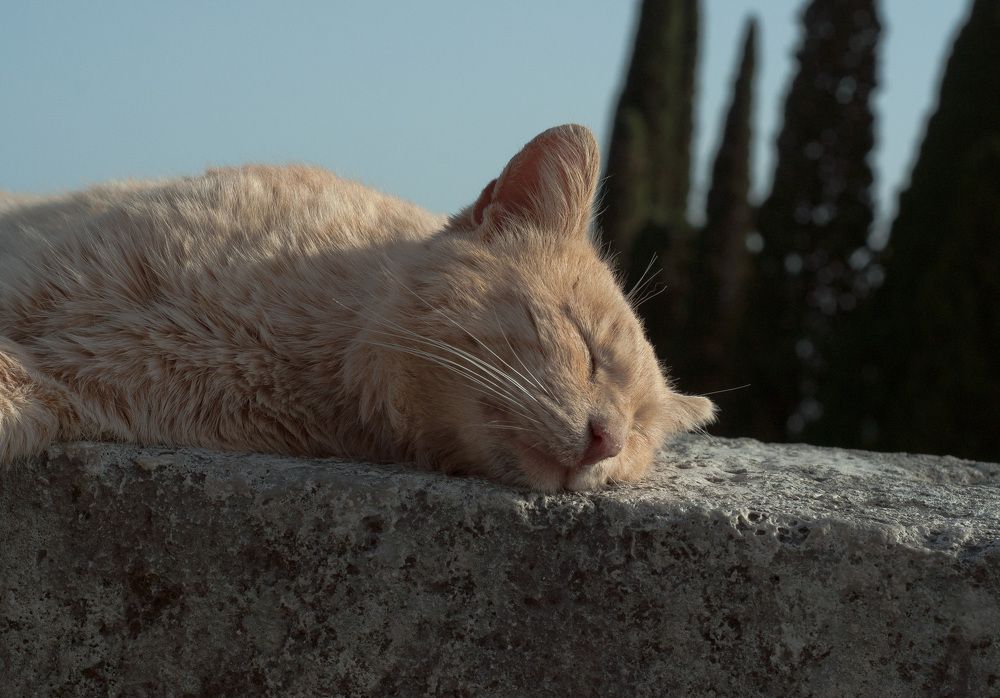 Photograph by Максим Мелехин