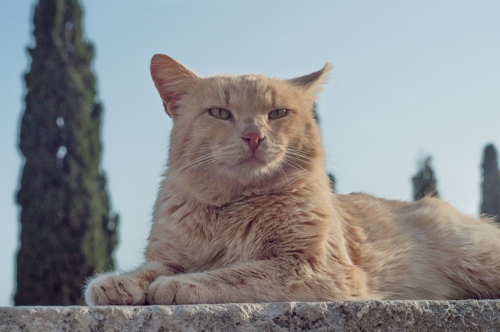 Photograph by Максим Мелехин