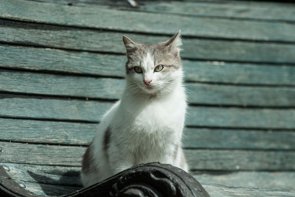 Photograph by Максим Мелехин