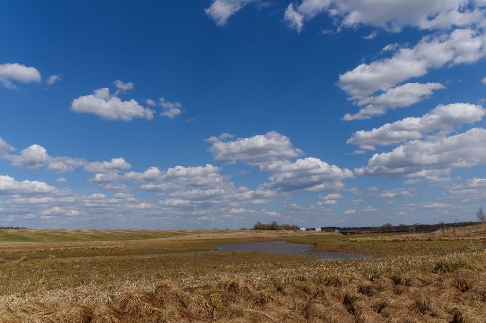 Photograph by Елена Вотинцева