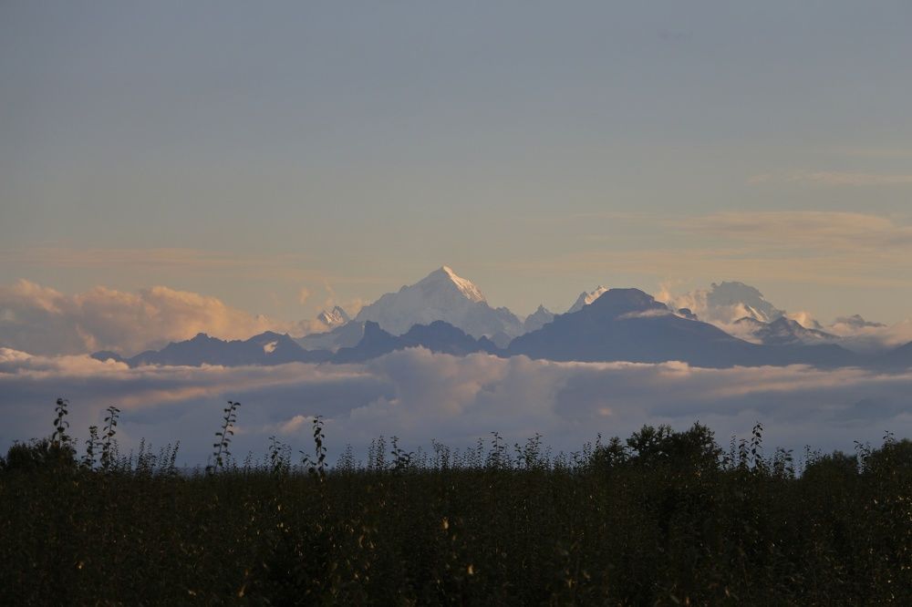 Photograph by Родион