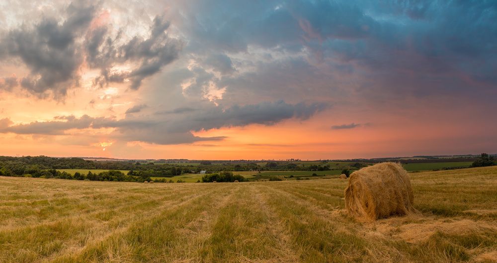 Photograph by Алексей Юденков