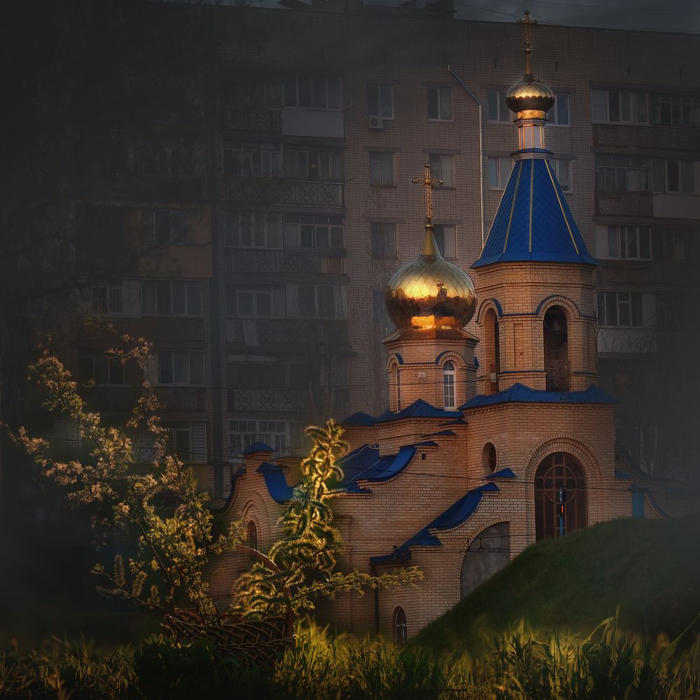 Фотография автора Светлана Лукьянова