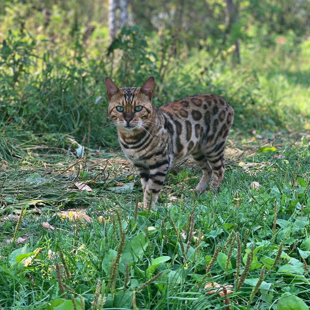 Photograph by Юлия Мартынова