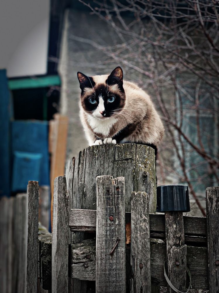 Photograph by Юлия Мартынова