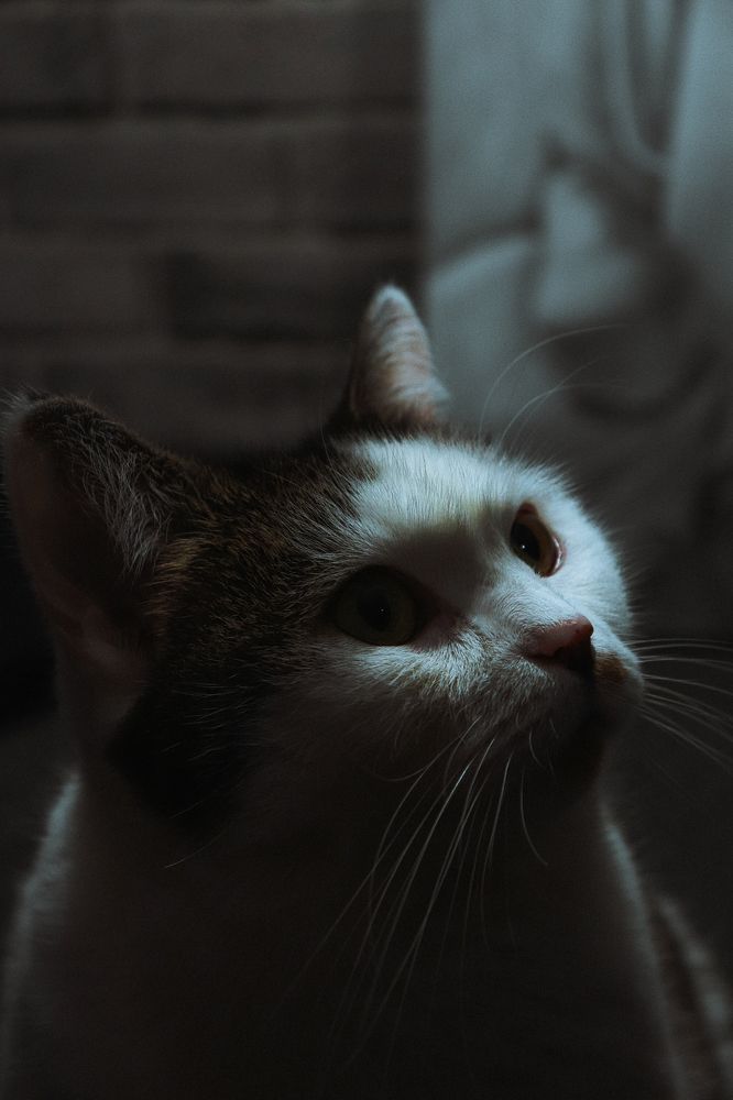 Photograph by Дайана Кириллова