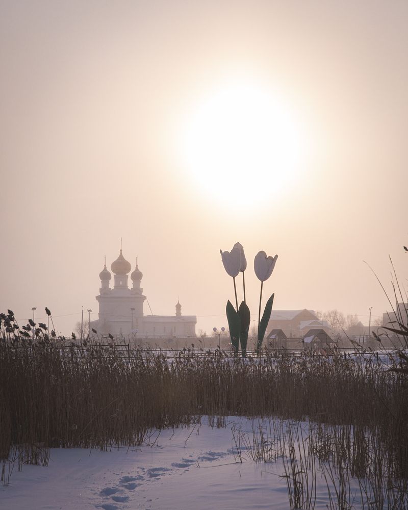 Photograph by Денис Храмеев