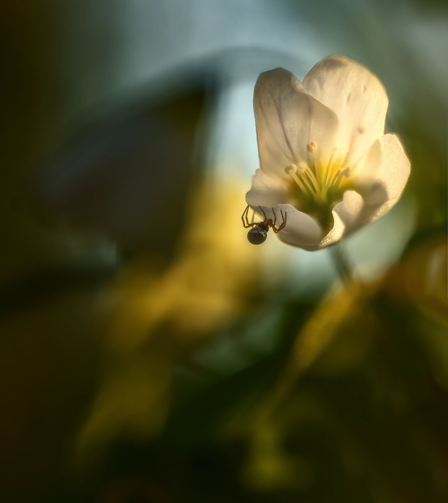 Photograph by Николай Андреев