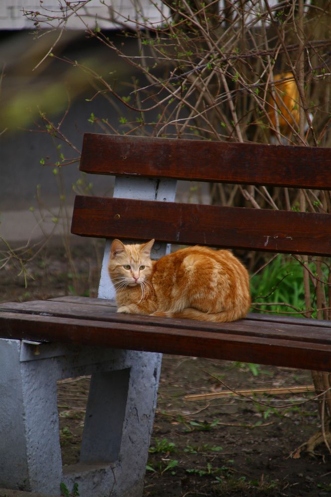 Photograph by Никита Серебряков