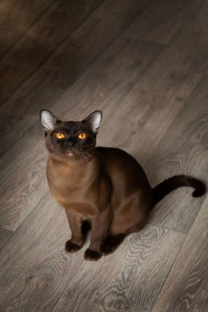 Photograph by Елена Носова