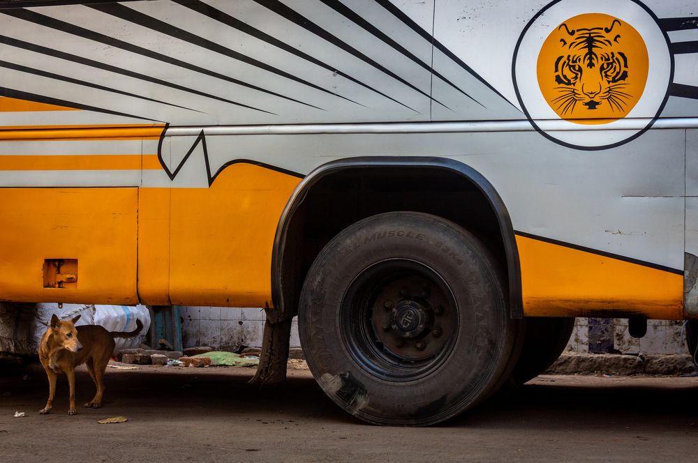 Photograph by Sayak Nag