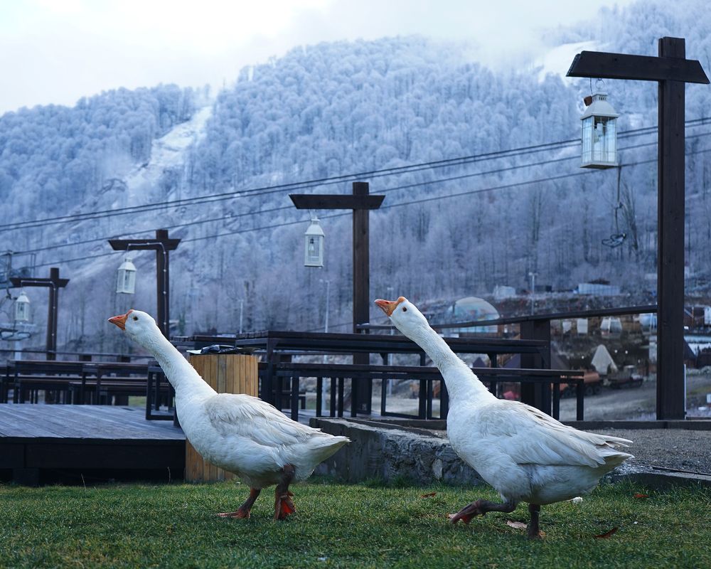 Фотография автора Наталия Гриболева