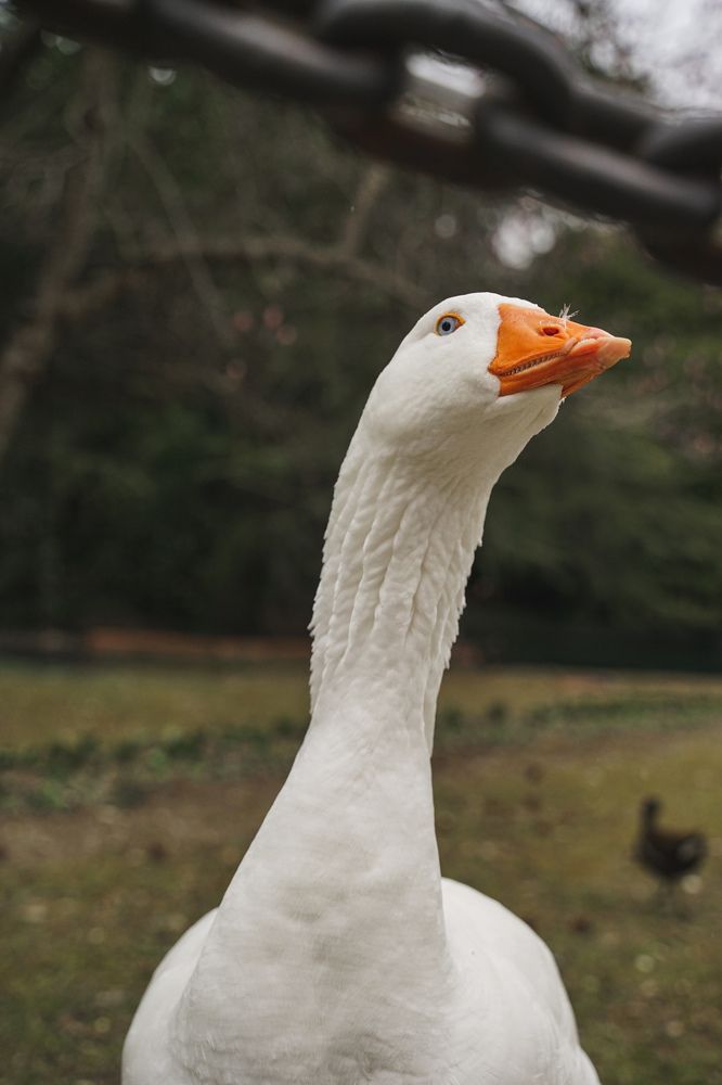 Фотография автора Наталия Гриболева
