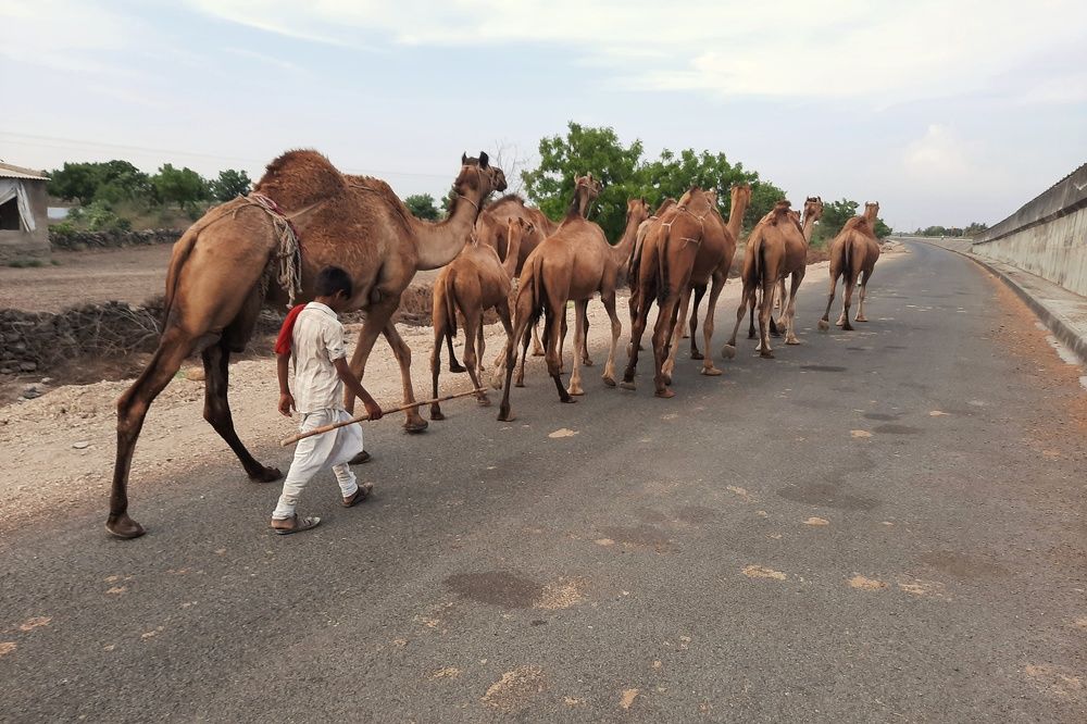 Photograph by Bapodara Sugha