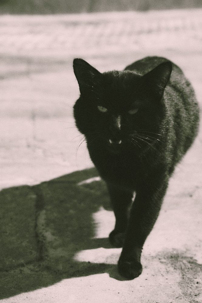 Photograph by Евгения Сигутина