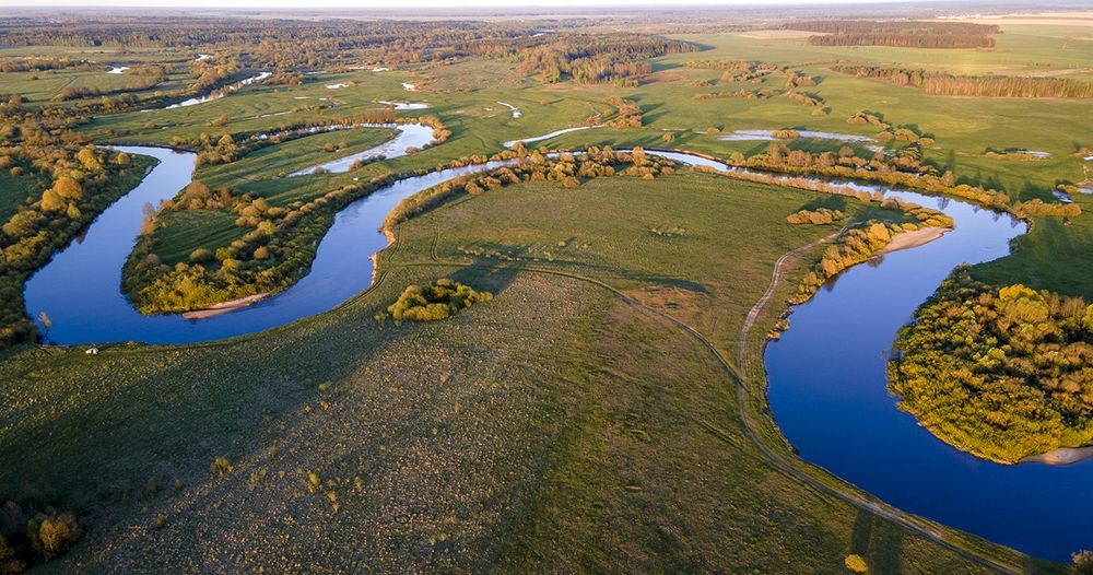 Неман подлюбчанский