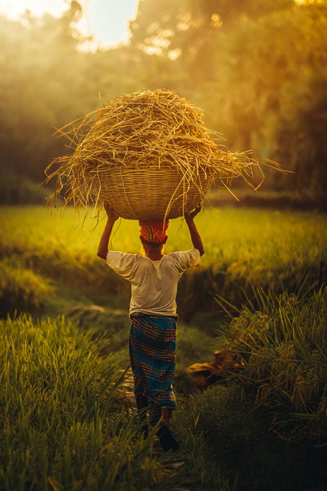 Photograph by Sumon Ghosh